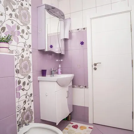 Apartment Breza *