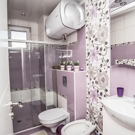 Apartment Breza *